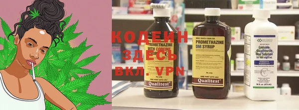 прущие грибы Абдулино