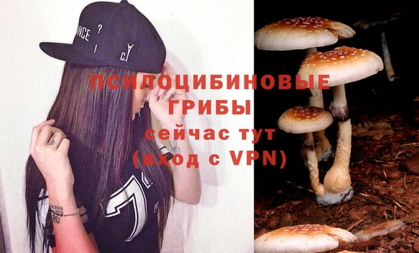 прущие крисы Абинск