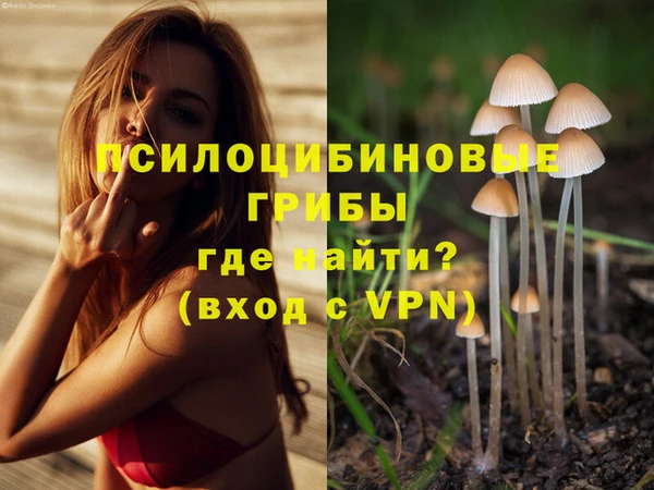 эйфоретик Абаза