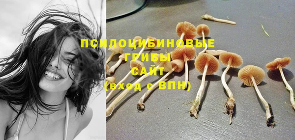 прущие грибы Абдулино