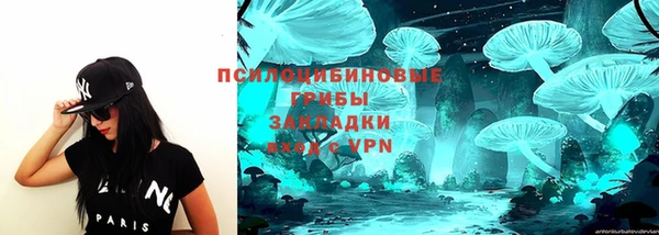 прущие грибы Абдулино